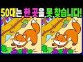 【다른그림찾기/치매예방】 50대는 3개 중 한 곳은 못 찾습니다! 집중력 향상! 치매 예방 퀴즈! 【틀린그림찾기/두뇌운동/Find The Difference】1294