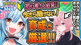 【ポケモンスリープ】このポケモン強い！？ボックス徹底レビュー！【ポケモン大好きVTuber】