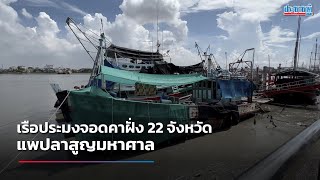 เรือประมงหยุดหาปลาแล้ว 50% วิกฤตตลาดทะเลไทย