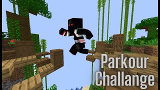 Minecraft Parkour Challange (Biome Run Remix)