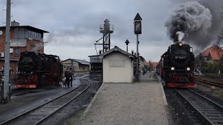 mit Dampf Rund um dem Bahnhof Wernigerode