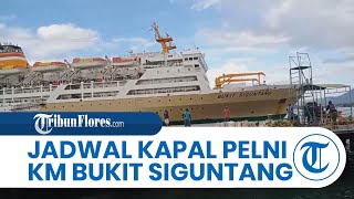 Jadwal Kapal Pelni KM Bukit Siguntang September Oktober, Cek Rute Kupang - Lewoleba - Maumere NTT