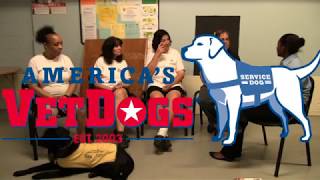 The Buzz - American Veteran Dogs Program