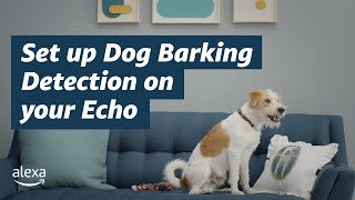 An Alexa Routine for your Dog | Amazon Echo