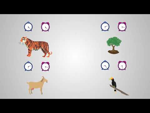 How do species change over time to adjust to varying conditions?