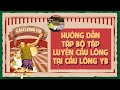 Bộ tập luyện cầu lông tại CẦU LÔNG YB - Hướng dẫn bộ tập cầu lông luyện phản xạ Zalo 0329.103.396