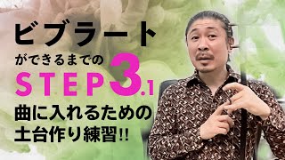 【二胡技術】ビブラートができるまでのSTEP3.1 〜曲に入れるための土台作り練習〜