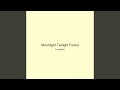 Moonlight Twilight Forest