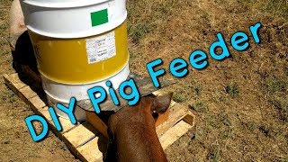 DIY Pig Feeder, Part 3 of 3