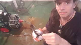 Unclogging Main Drain Line in your Home and Save Hundreds of Dollars Doing it Yourself