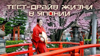 ТЕСТ - ДРАЙВ ЖИЗНИ В ЯПОНИИ
