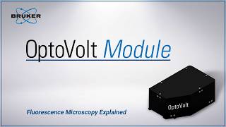 OptoVolt Module: Introduction to kHz Voltage Imaging | Fluorescence Microscopy Explained