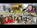 Breyer Horse Antique Store Hunting!