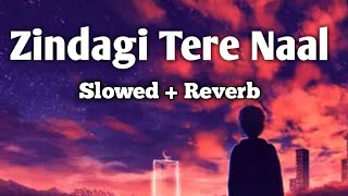 Zindagi Tere Naal [ Slowed ] [ Song ][ Lofi [ Song [#slowedreverb #slowedsong #lofisong #shar#l