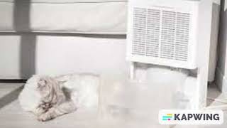 Do You Leave Windows Open When Using A Dehumidifier