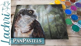 PanPastel Review & drawing an owl demonstration - Lachri