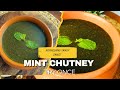 Tangy Sweet Mint Chutney Recipe | Refreshing Mint Leaves Chutney | Bihar Special Pudina Chutney