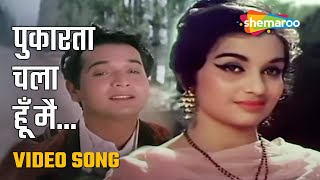 पुकारता चला हूँ मैं | Pukarta Chala Hoon Main - HD Video | Mere Sanam (1965) | Asha Parekh, Biswajit