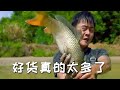 【戶外捕魚vlog】花4000包下養在山溝裏的一口魚塘，裏面的好貨真的太多了...#三農#農村生活