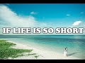 If Life Is So Short (lyrics) - The Mofatts cover (Music Travel Love)  | MusicMax