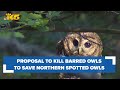 Conservation groups divided on proposal to kill barred owls, which threaten native owls