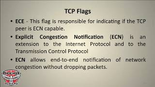 Malicious Python 3 Programming: Port Scanner - Port Scanning & TCP Flags