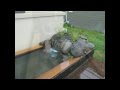 Low Maintenance Pond Low Maintenance Pond