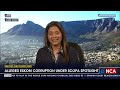 Restore the Grid | Board briefs SCOPA on alleged malfeasance