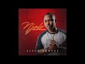 Scelo Gowane - Njalo (Official Audio)