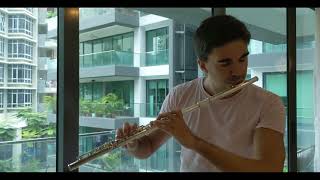 New Rules - Dua Lipa - Western Flute vs Indian Flute duet