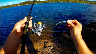 Hopping Plastics For Winter Fish | Tweed Heads