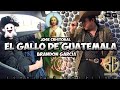 El Gallo De Guatemala - Brandon García ( Video Lyric )