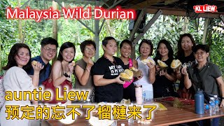 Malaysia Wild Durian, auntie Liew 预定的忘不了榴槤来了, 带朋友品尝多种品种榴槤,还有原住民大森林里的山榴莲