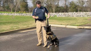 Dothan Police Department's two paw-troll officers