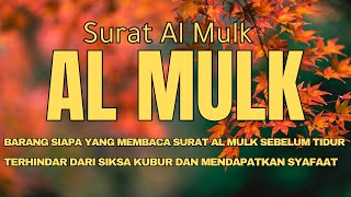 BACAAN MERDU SURAH AL MULK, ALQURAN PENGANTAR TIDUR