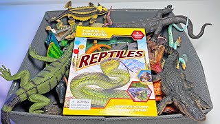 New Reptiles - Gila Monster, Crested Gecko, Saltwater Crocodile, Alligator, Komodo Dragon, Iguana