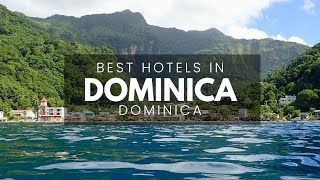 Best Hotels In Dominica (Best Affordable & Luxury Options)