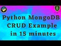 MongoDB CRUD operations Python