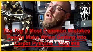 The Top 5 Most Common Mistakes People Make When Getting Into Carpet Pythons - Vlog #48