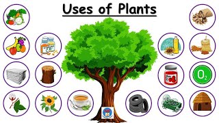 Uses of Plants for kids | Use of Plants | Plants and their uses | Plant give us | Uses of trees
