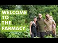 Welcome to the FARMacy! Healing Earth and Humanity through Herbal Medicine