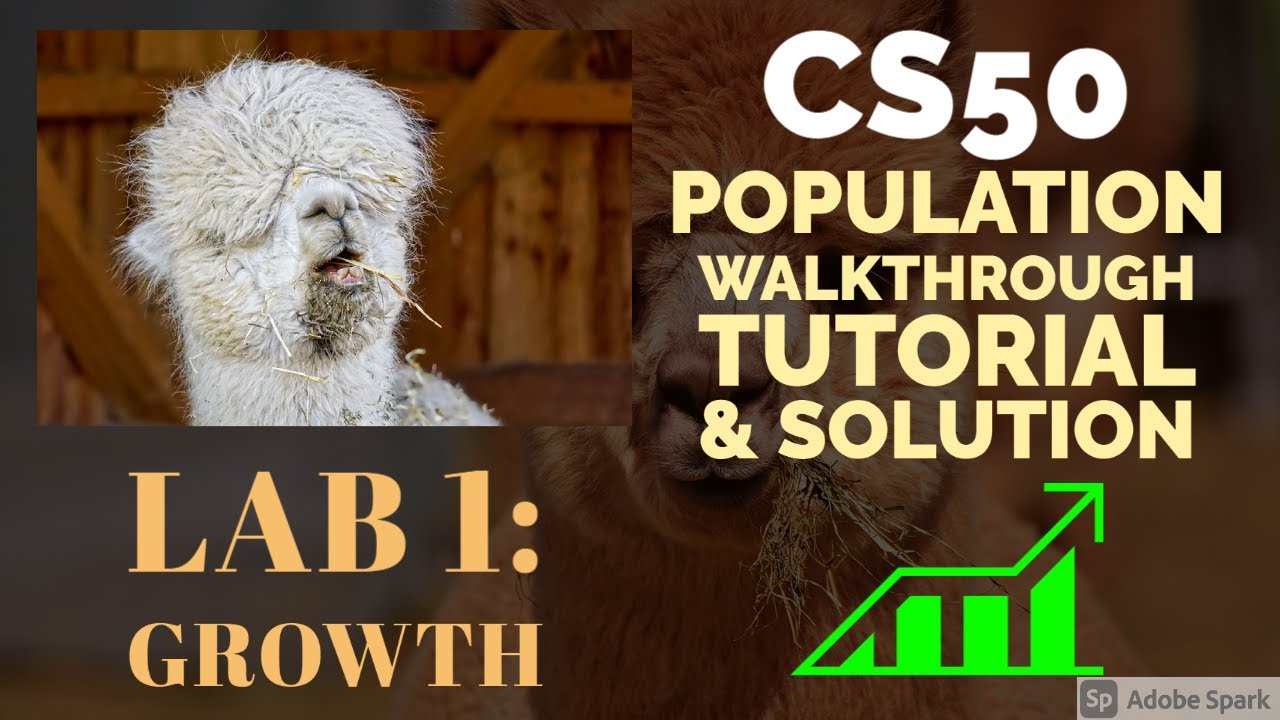 Cs50 Population Walkthrough Tutorial Solution Week 1 Lab 1 Youtube