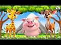 Lovely Animal Sounds & Adorable Animal Moments: Giraffe, Pig, Sika Deer | Animal Video