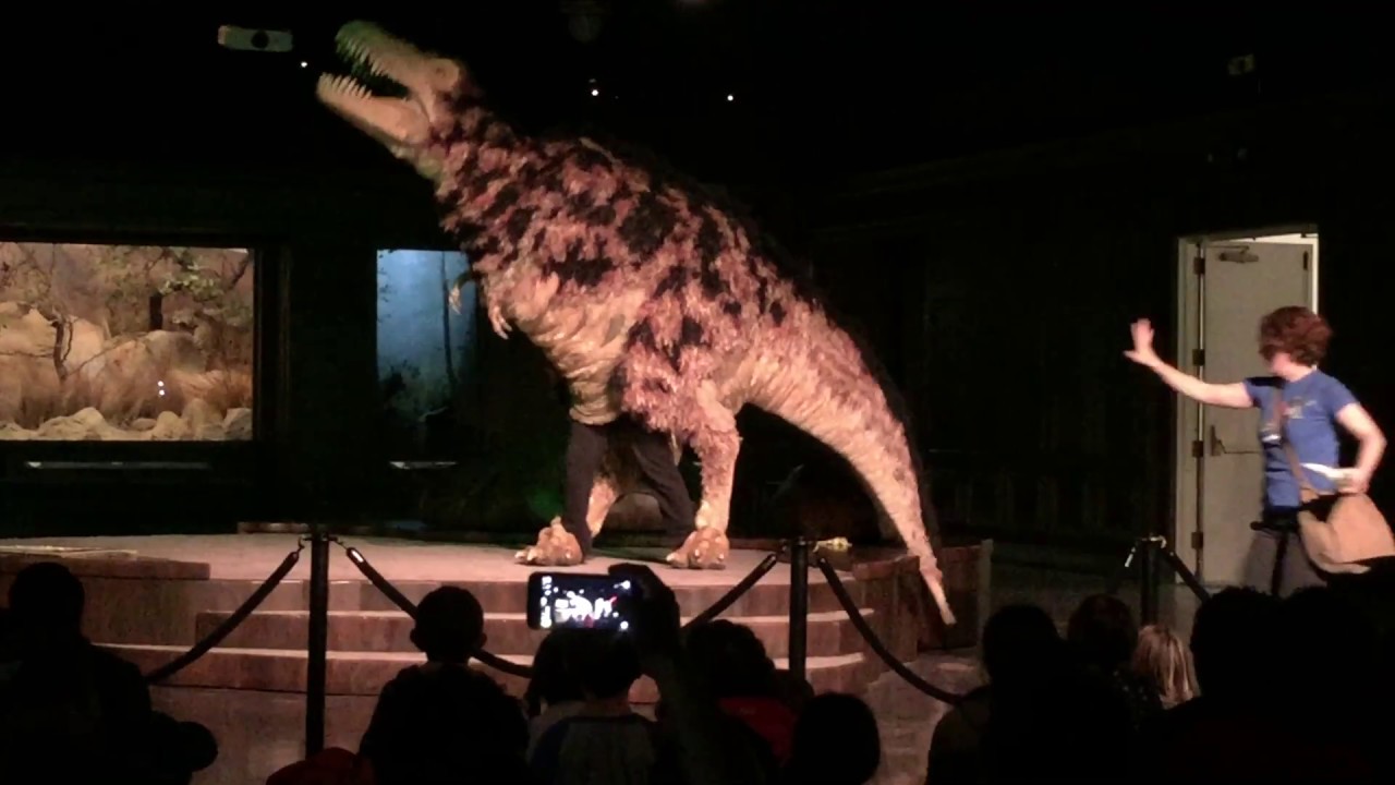 Natural History Museum Los Angeles Dinosaur Walking Show - YouTube