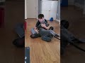 Florida Boy Overjoyed During Surprise Reunion With Lost Dog