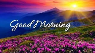 Good morning status | 💖Good morning song 💖| Good morning whatsapp status video ||