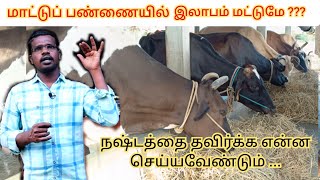 மாட்டுப் பண்ணையில் நஷ்டம் வர காரணம் என்ன?? இலாபம் ஈட்டுவது எப்படி! பால் மாடு தேர்வு செய்யும் முறை.