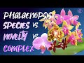 PHALAENOPSIS vs. PHALAENOPSIS | Complex vs Novelty Hybrids vs Species Comparison #ninjaorchids 🤞🏼🌸