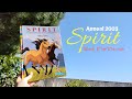 SPIRIT Stallion of the Cimarron Annual 2003 - Book Flip-Through