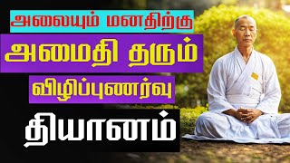 Mindfulness Meditation  | Stress Relief, Calm and Peaceful | 22 Minutes Guided Meditation in Tamil